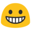 :grinning: π