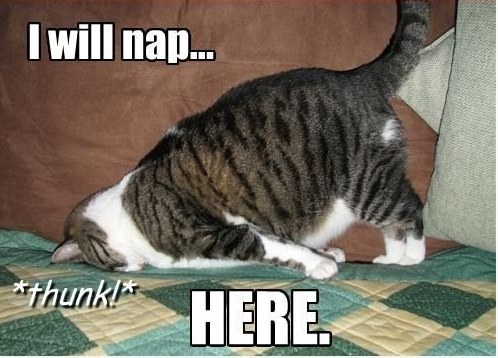 sleepNow.png