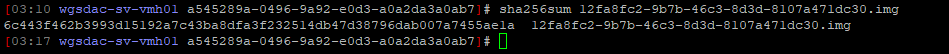 Screenshot 2025-10-19 031916.png