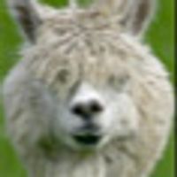 llamasmurf